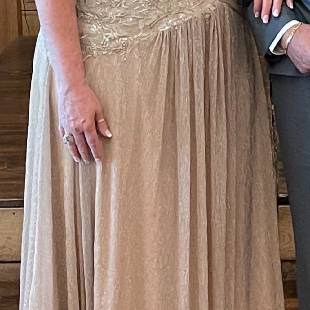 Elegant Gold Lace Dress - Picture 3 of 4